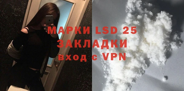 ГАЛЛЮЦИНОГЕННЫЕ ГРИБЫ Абаза